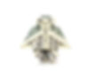 OWL-Oncology-Research-MoneyOrigami-iS-1338072531-Owl-Only-smaller.jpg