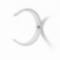 ChatGPT Image May 22, 2025, 02_16_49 PM.png