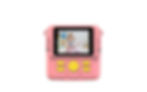 Thumbnail: The DIY Instant Digital Camera