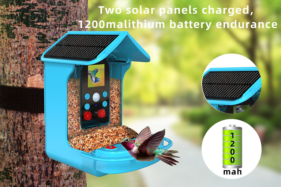 Миниатюра: Smart Bird Feeder Camera Specification TG-B50
