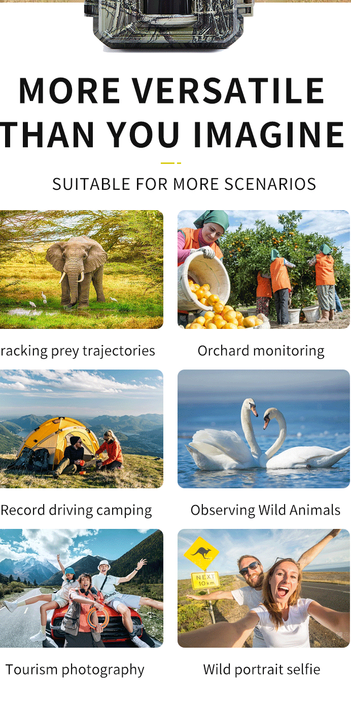 Thumbnail: HUNTING CAMERA DL06