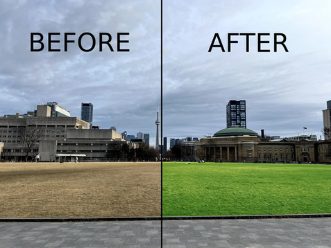UofT Dyes King’s College Circle Green for St. Patrick's Day