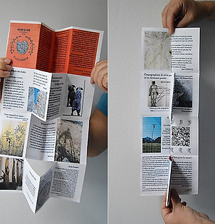 pour telecharger.jpg