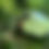 Miniaturbild: ECO SLIDE OUT