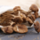 Thumbnail: V003 姬松茸茶树菇螺片焗汤 Dried Agaricus with Dried Chashu Mushrooms