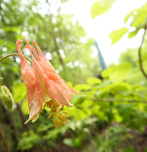 DSCF6802.JPG