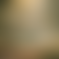 AquaSoul Home & The 3 Gates: Before We Speak, Let’s Reflect