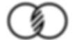 wg logo white.jpg