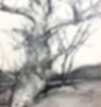 April_Ella Park