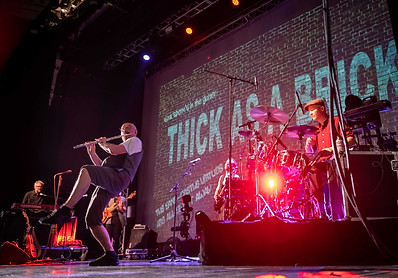 TAAB band 2021 003 N863_Nick Harrison photo credit_redudec.jpg