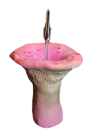 pink shroom picture holders.png