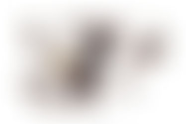 Formigues a l'aula i a casa