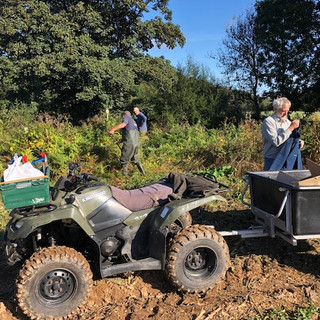 Preparing the groundwork.jpeg