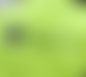 Reporting incidents to the Environment Agency