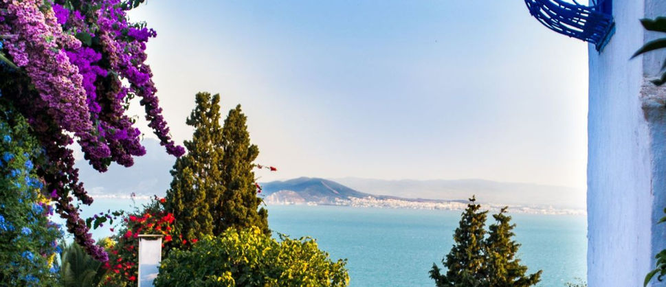 T U N I S I E _ T U N I S I A.jpg