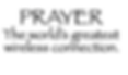 springhill transfers