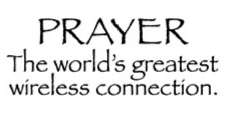 springhill transfers