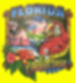 florida t-shirt transfers
