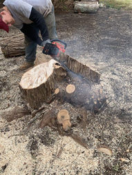 stump removal cape cod