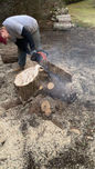 Best stump removal cape cod