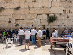 PXL_20230529_083808391