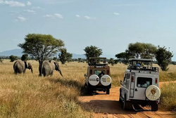 Micato Safaris (8)