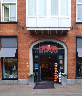 Hema Steenbergen.jpeg