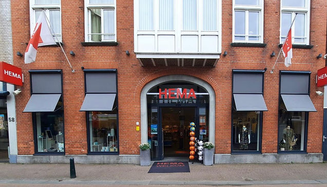 Hema Steenbergen.jpeg