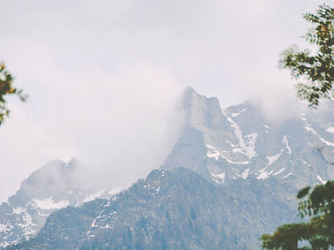 Vu de la foret sur des montagnes aux sommets enneigés
