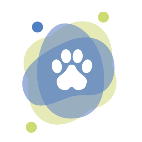 Tavin Pharma Inc.
