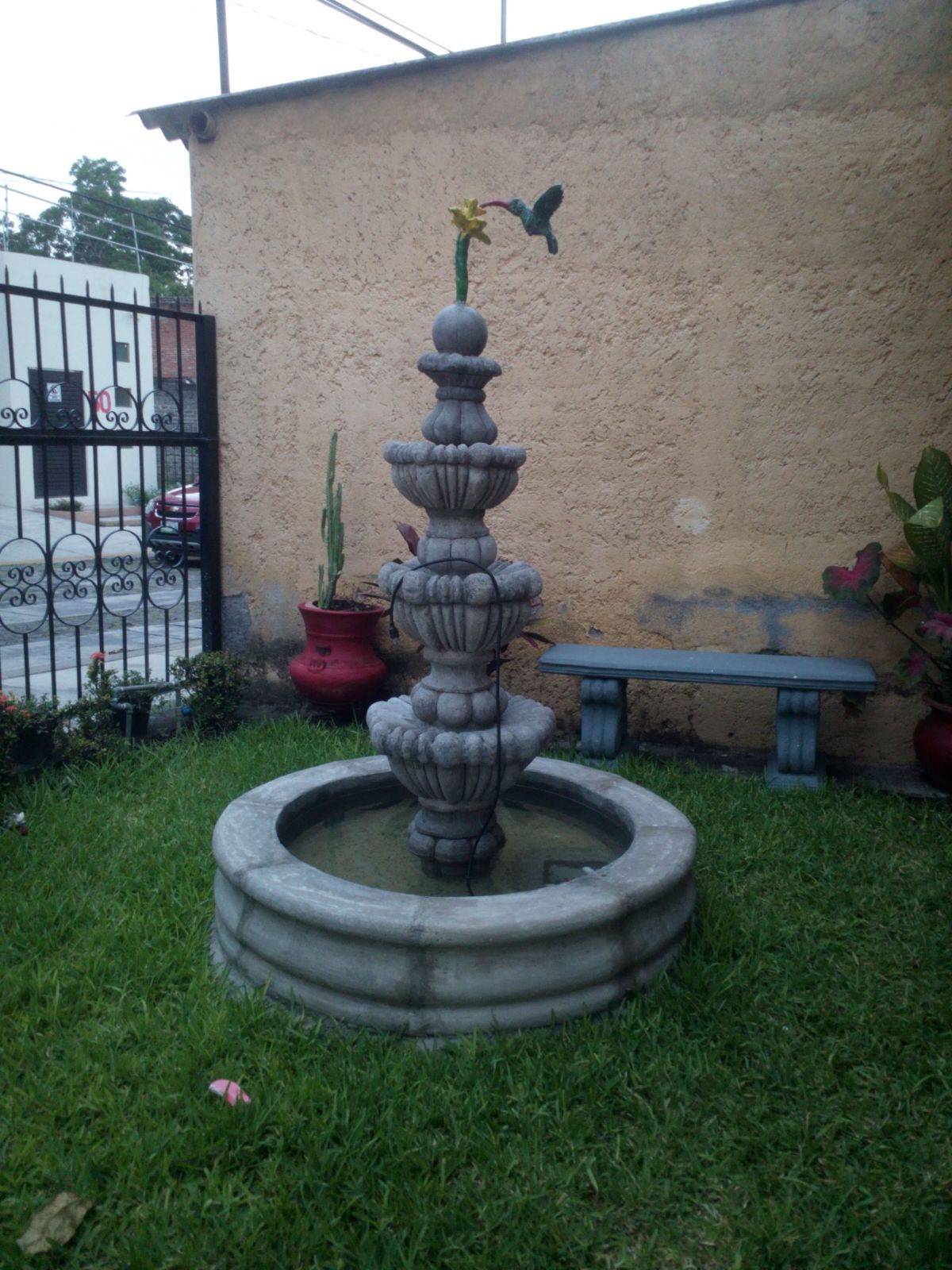 Fuente con Colibrí