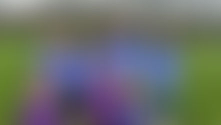 Veldloop Bonheiden en marathon New York