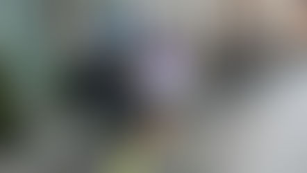 We liepen het sportieve jaar uit met de Eindejaarscorrida te Leuven: Pieter 3e op de 12km