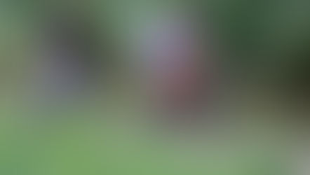 Duatlon dichtbij huis, WK triatlon ver van huis, EK Menen, trail van Limburg tot Ardennen en koers