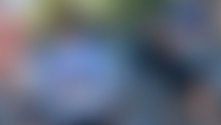 Marathon Amsterdam en Zilvermeertrail