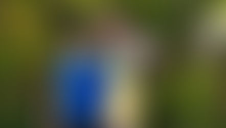 PK scholencross Heverlee