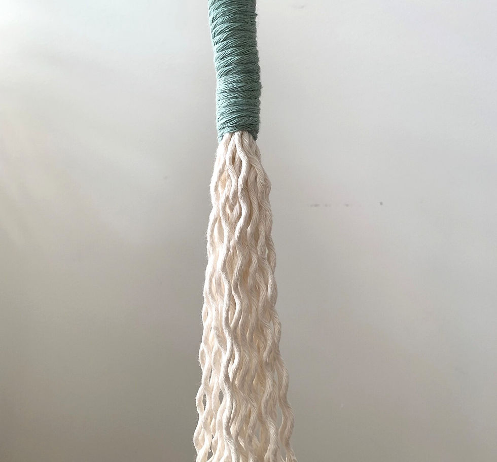 Thumbnail: Chunky Macramé Plant Hanger by Rosie The Wanderer