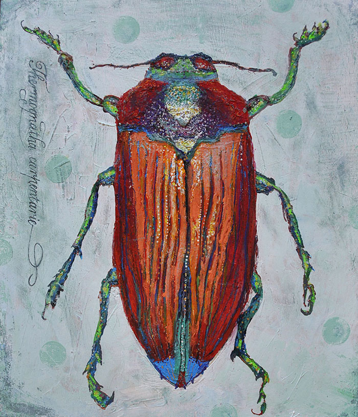 Thermognatha carpentarie