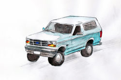 bronco