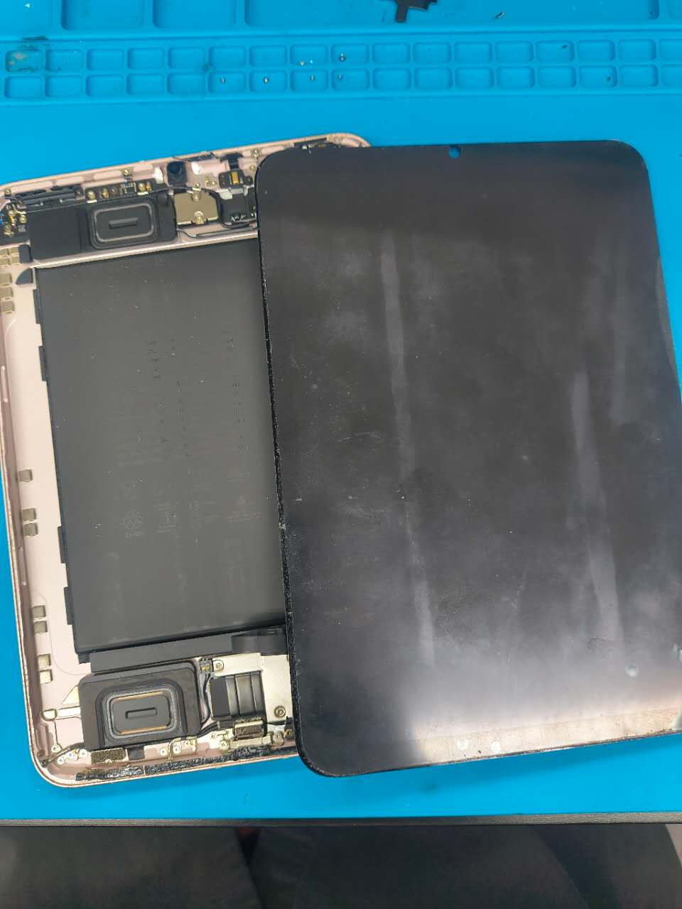 iPad mini 6 ドックコネクター交換 分解 なんば