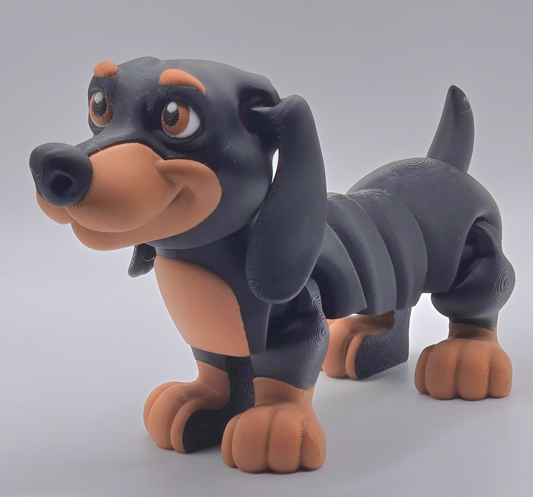 Dachshund