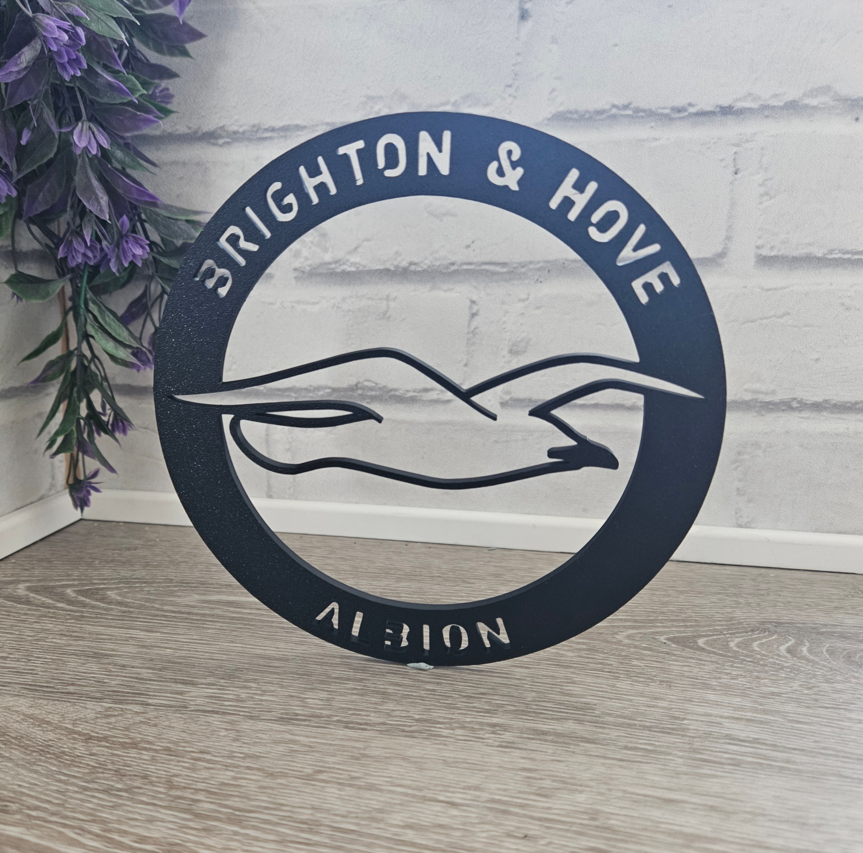 Brighton and Hove Albion wall art