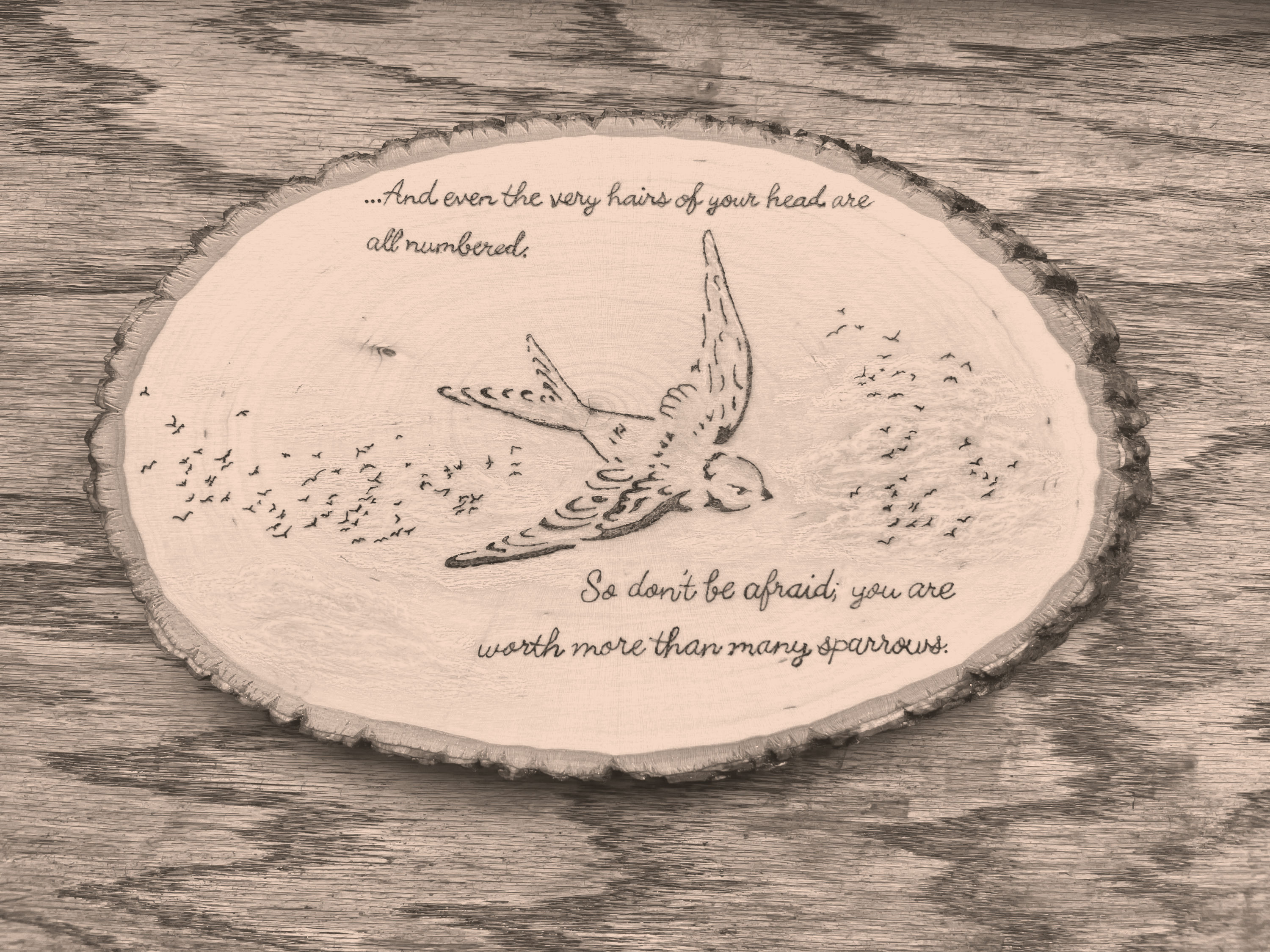 "More Than Many Sparrows" Decor