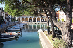 IMG4_6959.JPG