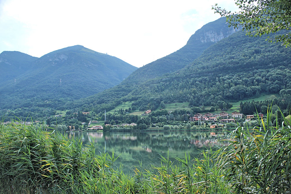 IMG3_5077_.jpg