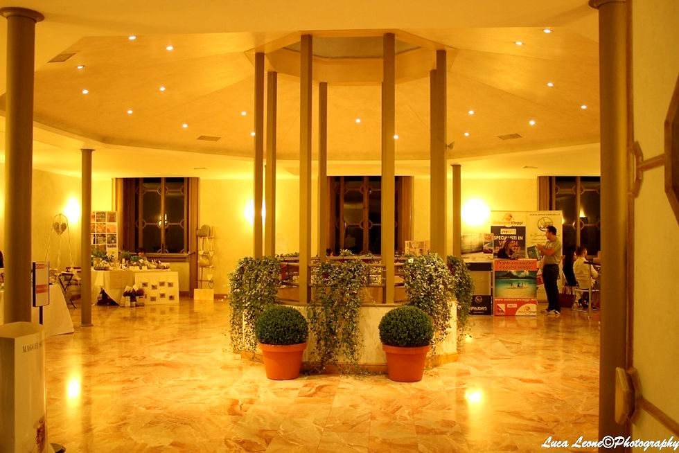 Villa Andrea Ponti, interni