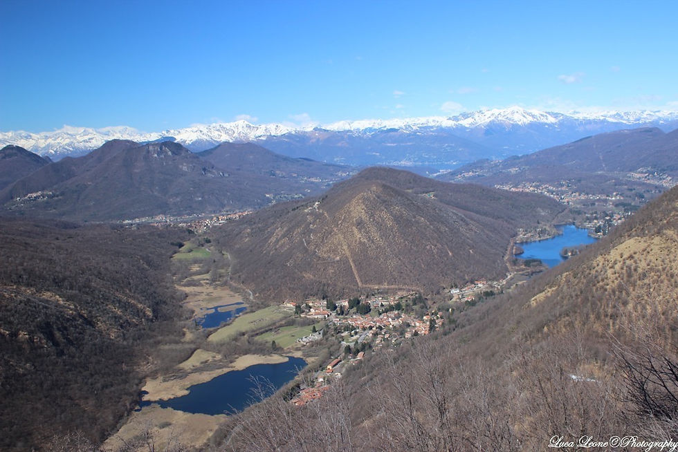 IMG1_3872.JPG