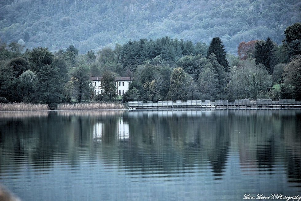 Da Varano Borghi