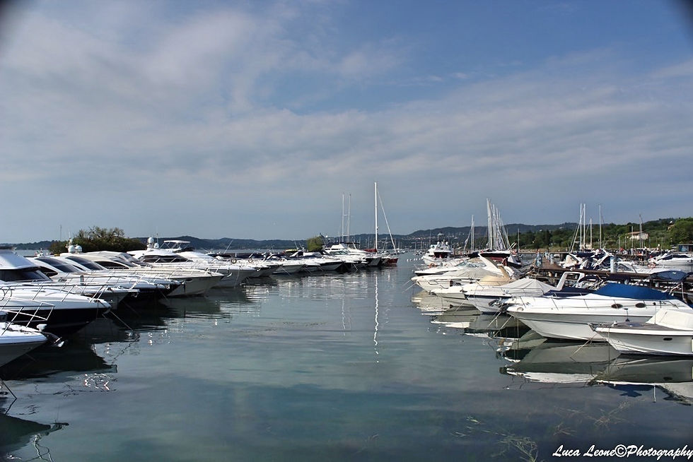 IMG7_9799.jpg