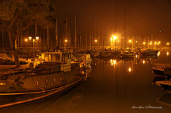 IMG4_7285_Fotor.jpg